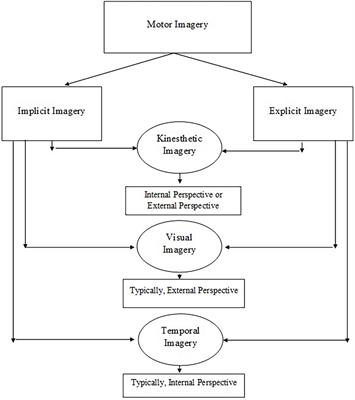 Defining and measuring motor imagery in children: mini review